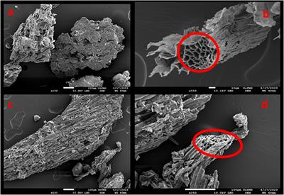 Removal of microplastics from agricultural runoff using biochar: a column feasibility study